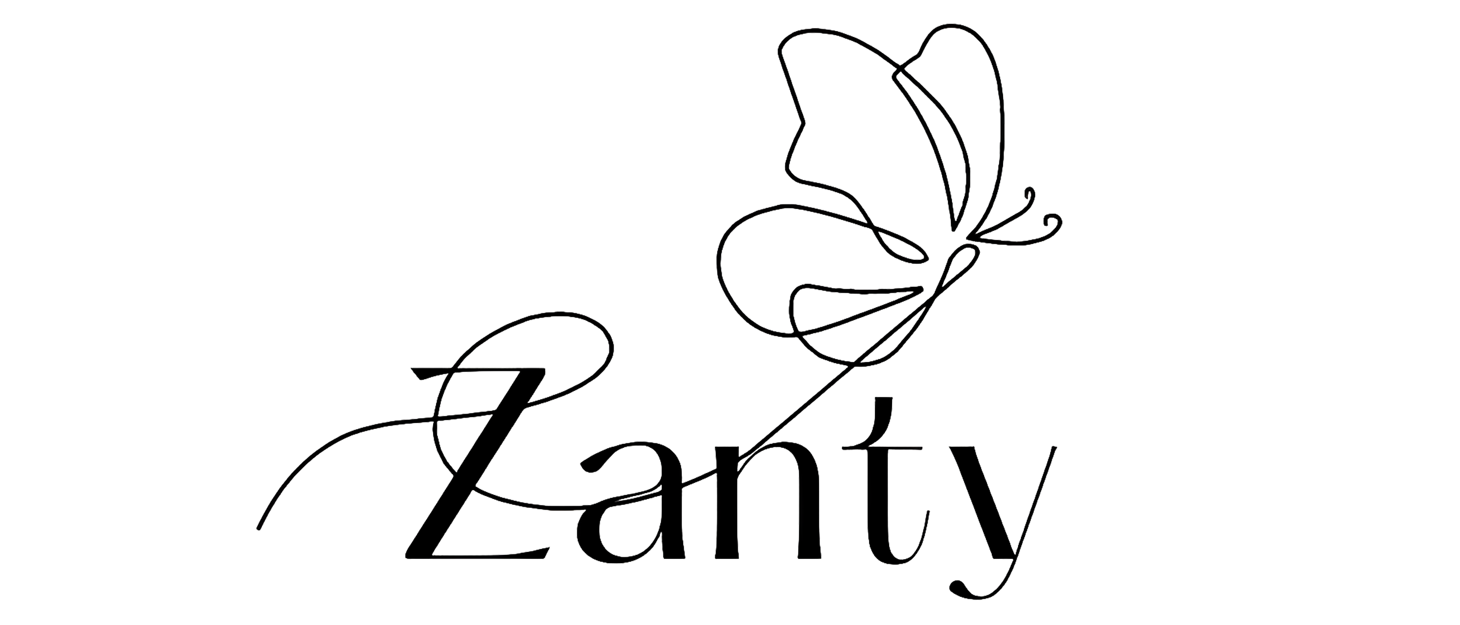 Zanty Store 